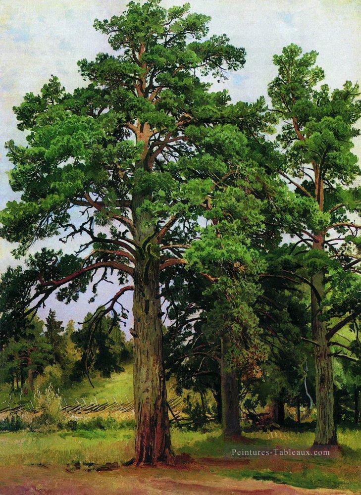 pin sans le soleil mary howe 1890 paysage classique Ivan Ivanovitch arbres Peintures à l'huile